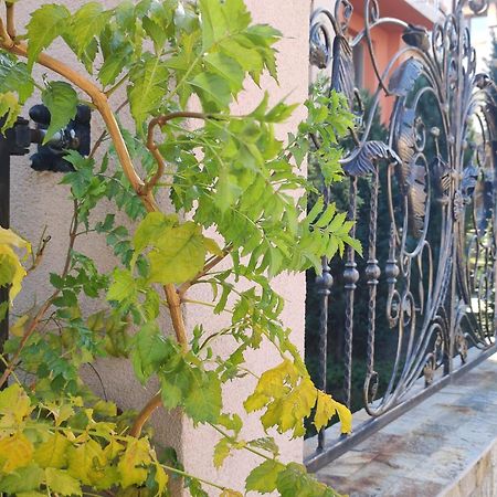 ספרבה בניה Guest House Via מראה חיצוני תמונה