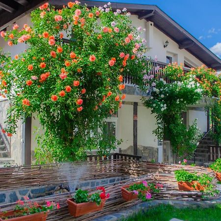 ספרבה בניה Guest House Via מראה חיצוני תמונה