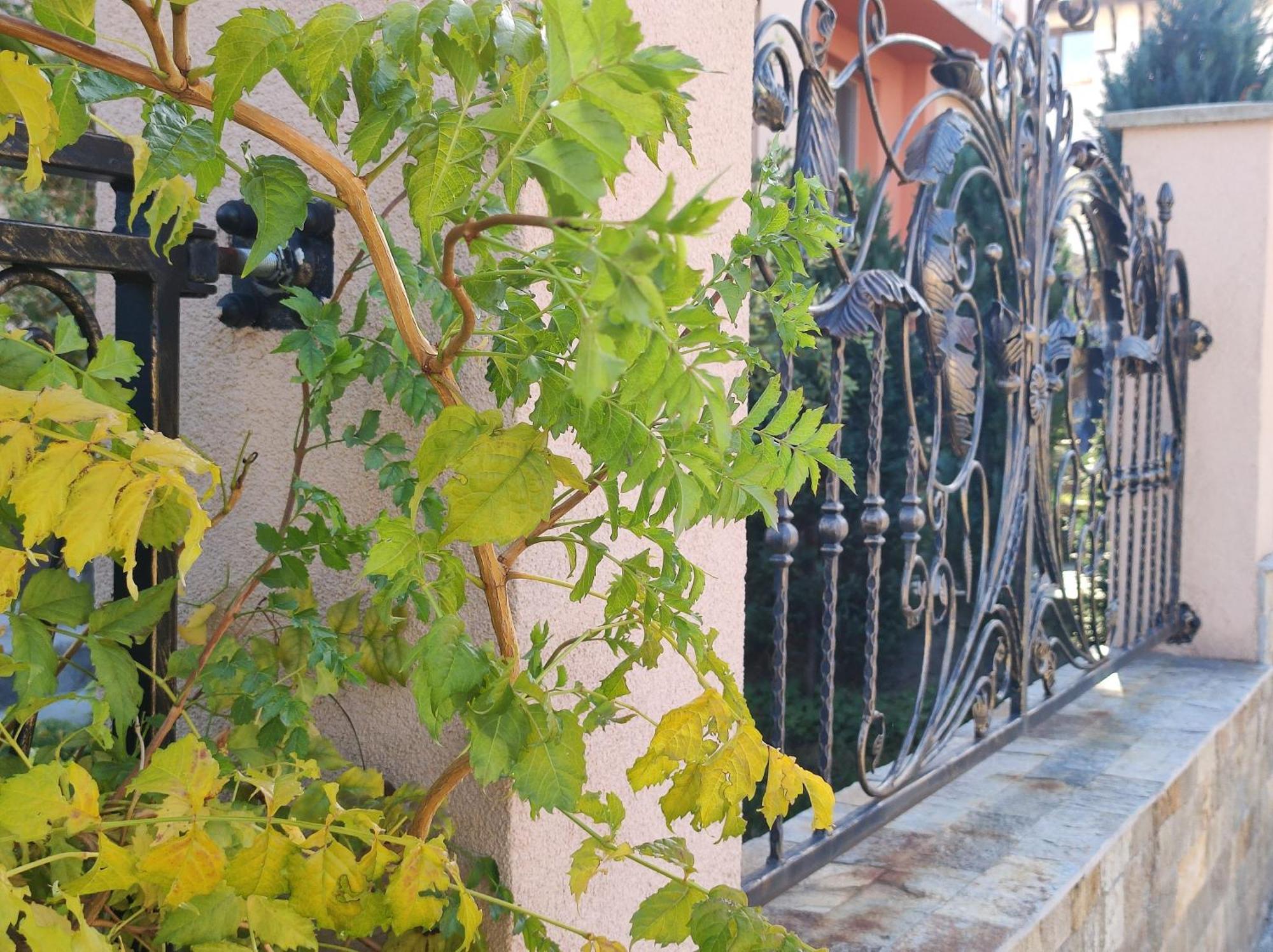 ספרבה בניה Guest House Via מראה חיצוני תמונה