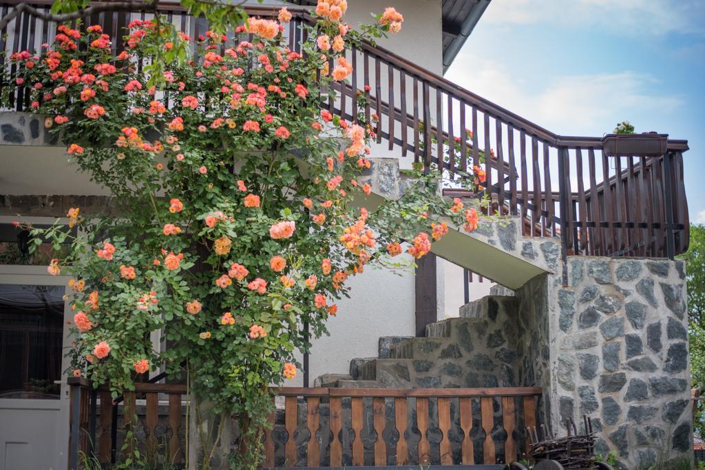 ספרבה בניה Guest House Via מראה חיצוני תמונה