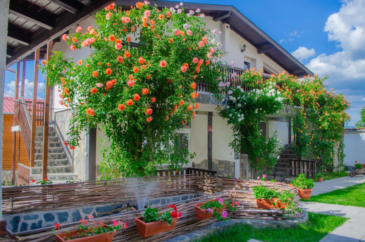 ספרבה בניה Guest House Via מראה חיצוני תמונה